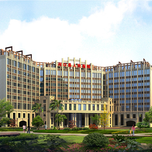 河口瑶族自治县人民医院扩建工程项目