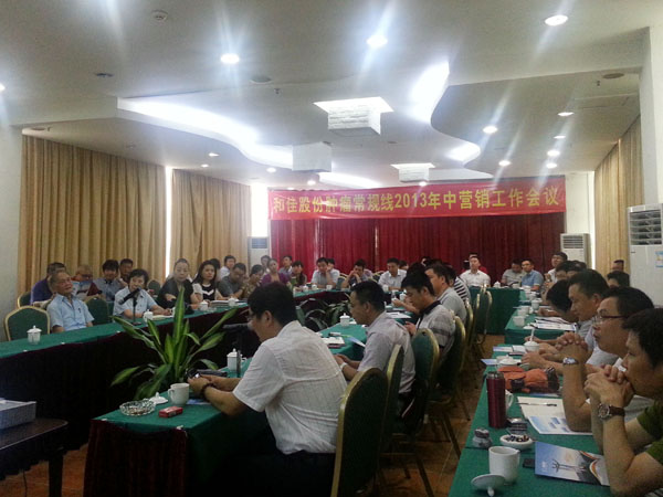 和佳股份召开2013年年中会议